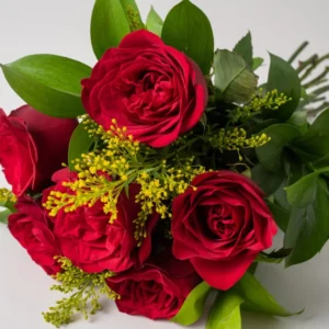 Buquê de 6 Rosas Vermelhas